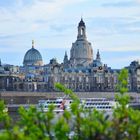 Dresden Terrassenblick