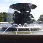 Dresden Wasserspiele am Albertplatz