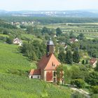 Dresden - Weinbergkirche Zum Heiligen Geist