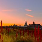 Dresden - Wenn de zeidsch genug off stehsd! III