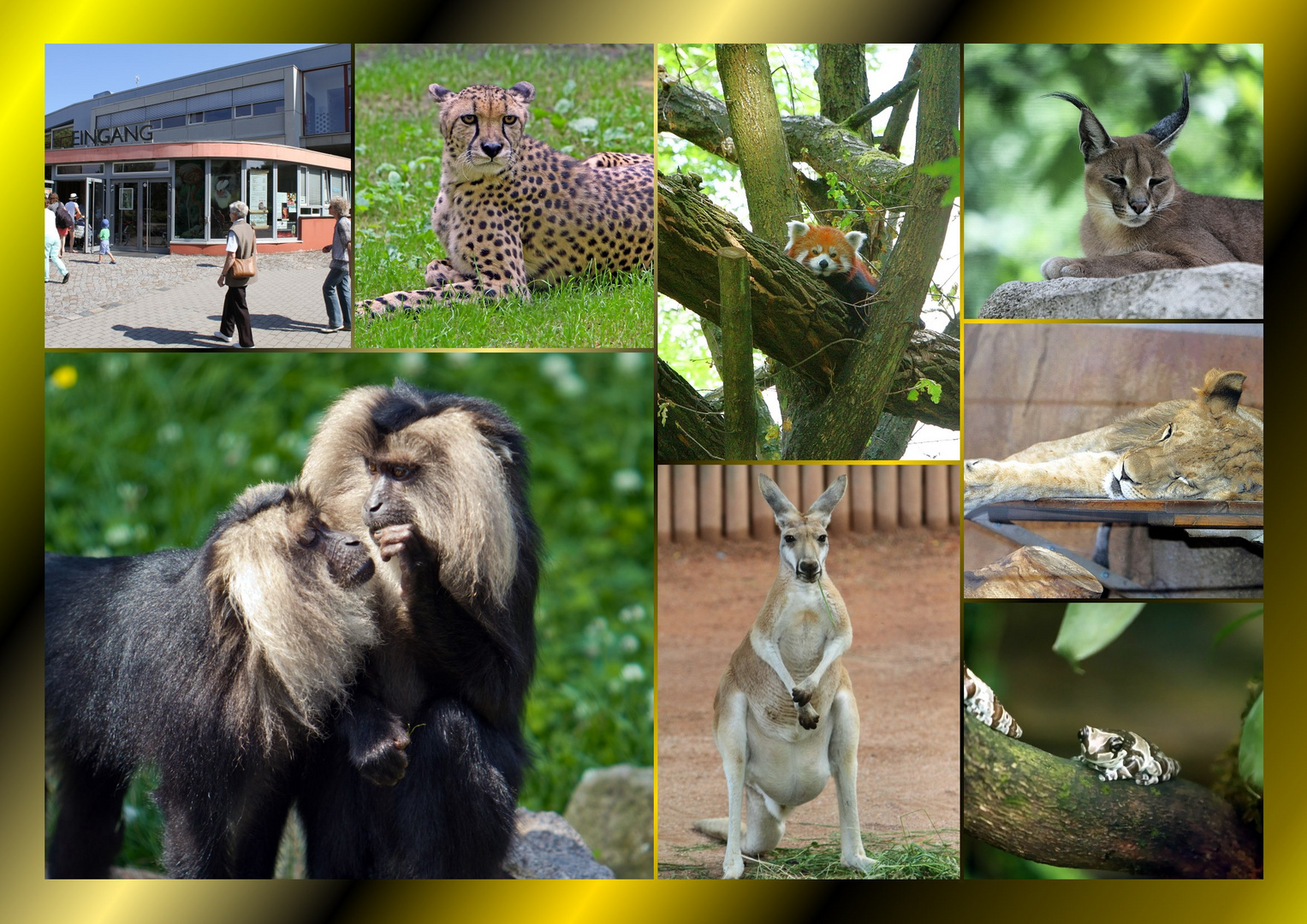 Dresden Zoo