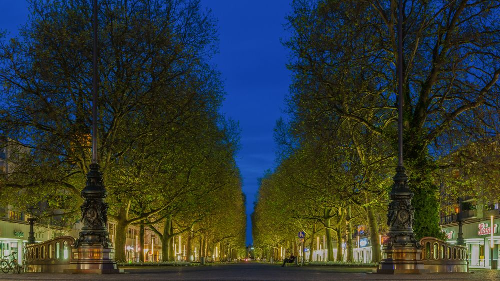 Dresden zur blauen Stunde