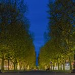 Dresden zur blauen Stunde