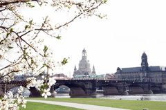 Dresdener Altstadt im Frühling 2012