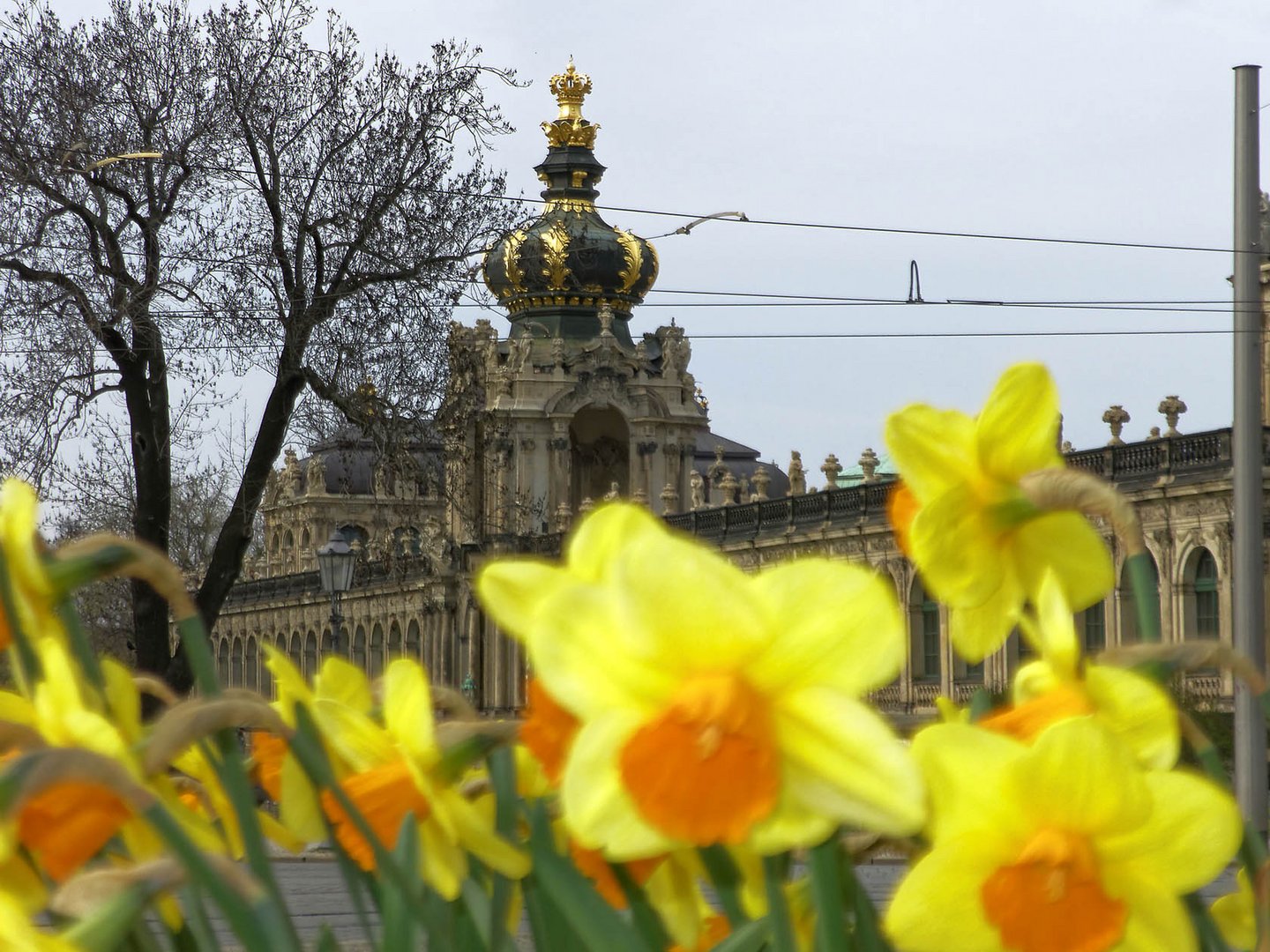 Dresdener Frühling, Jahrgang 2016