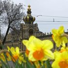 Dresdener Frühling, Jahrgang 2016
