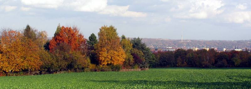 Dresdener Herbst 2005