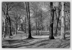 Dresdener Parklandschaft