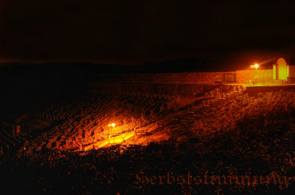 Dresdener Weinberg bei Nacht
