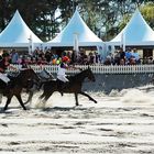 dresdner-bank-polo-tunier timmendorfer strand 04.05.2008 IV