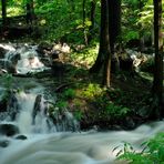 Dresdner Elbtalhänge: Keppgrund