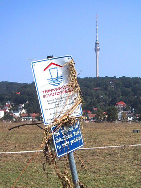 Dresdner Elbwiesen-Blick von Laubegast auf Wachwitz