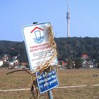 Dresdner Elbwiesen-Blick von Laubegast auf Wachwitz