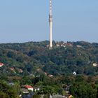 Dresdner Fernsehturm