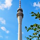 Dresdner Fernsehturm