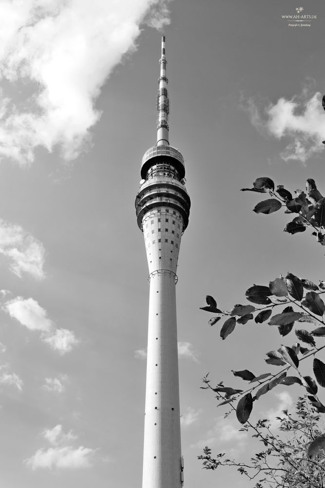 Dresdner Fernsehturm in s/w