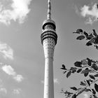 Dresdner Fernsehturm in s/w