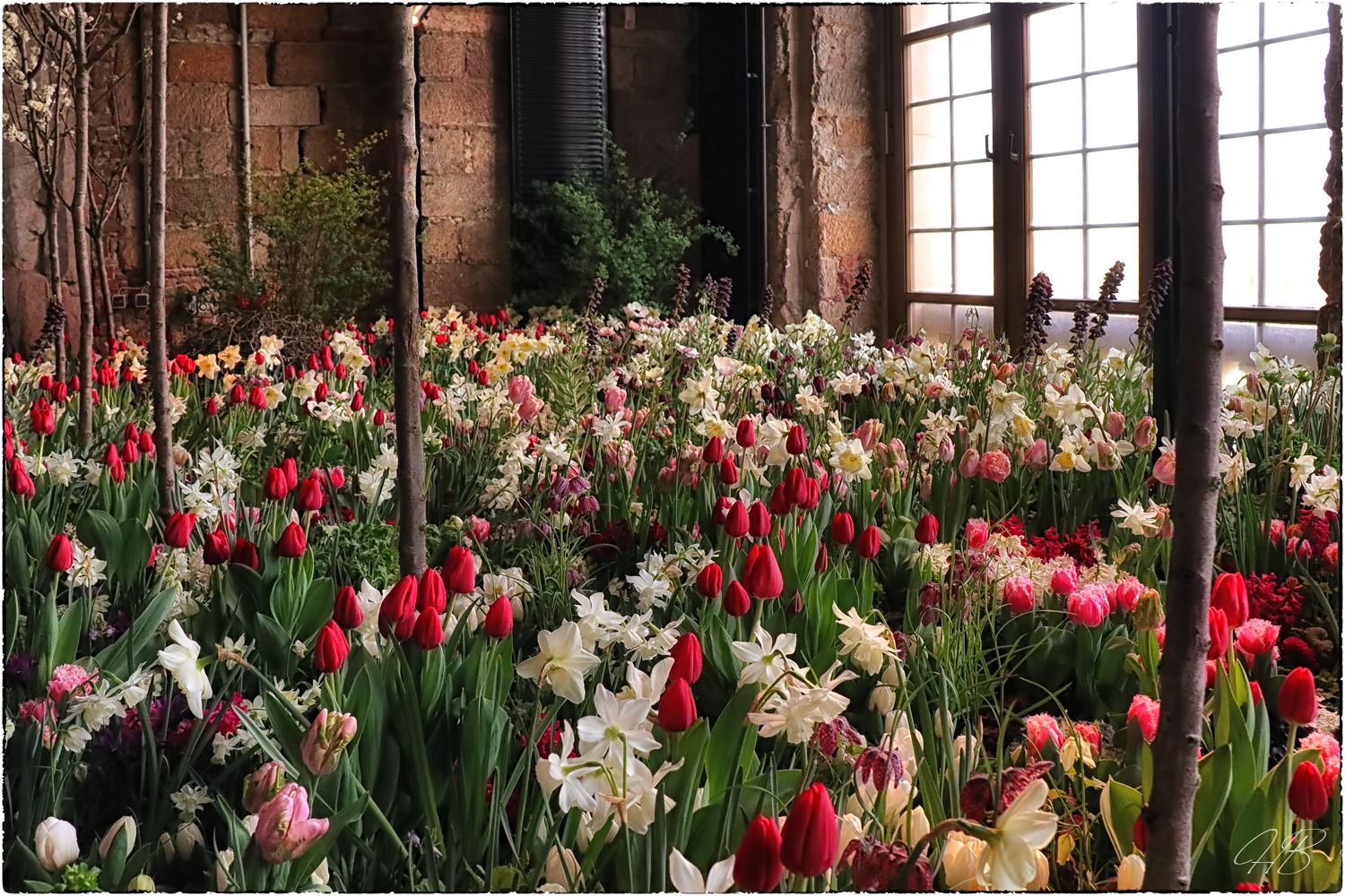 Dresdner Frühling