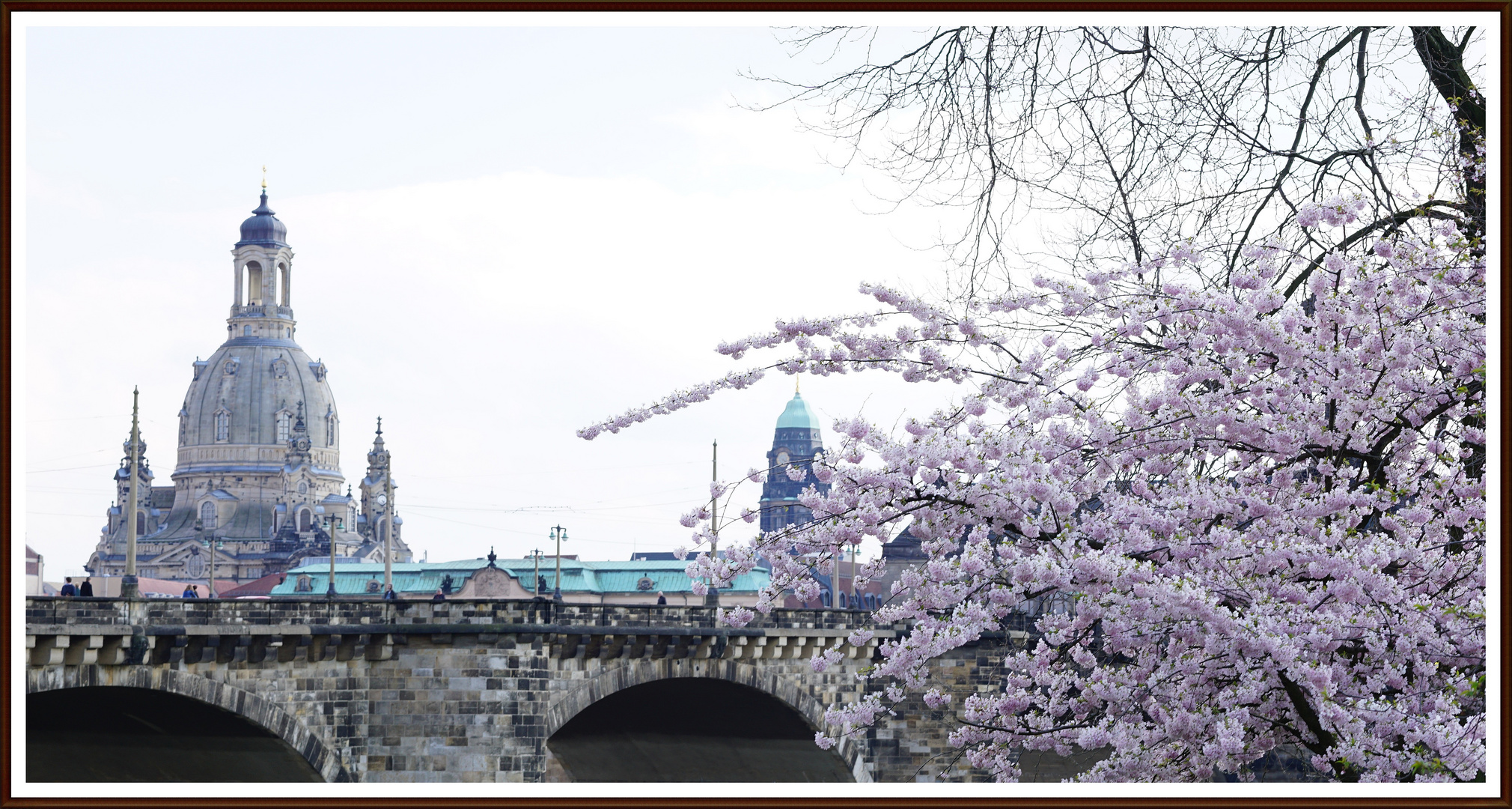 DRESDNER FRÜHLING