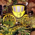 Dresdner Frühling im Palais - Blumen- und Floristikausstellung