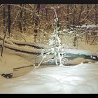 Dresdner Heide in einer Winternacht