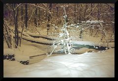 Dresdner Heide in einer Winternacht