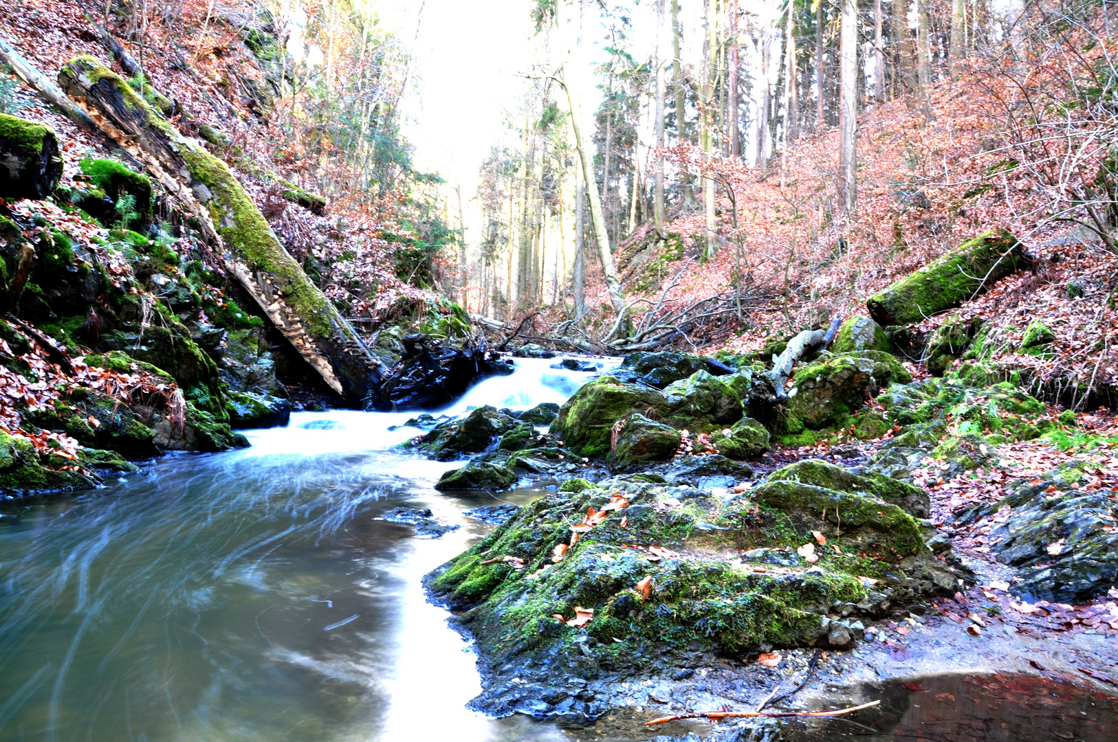 Dresdner Heide Prießnitz