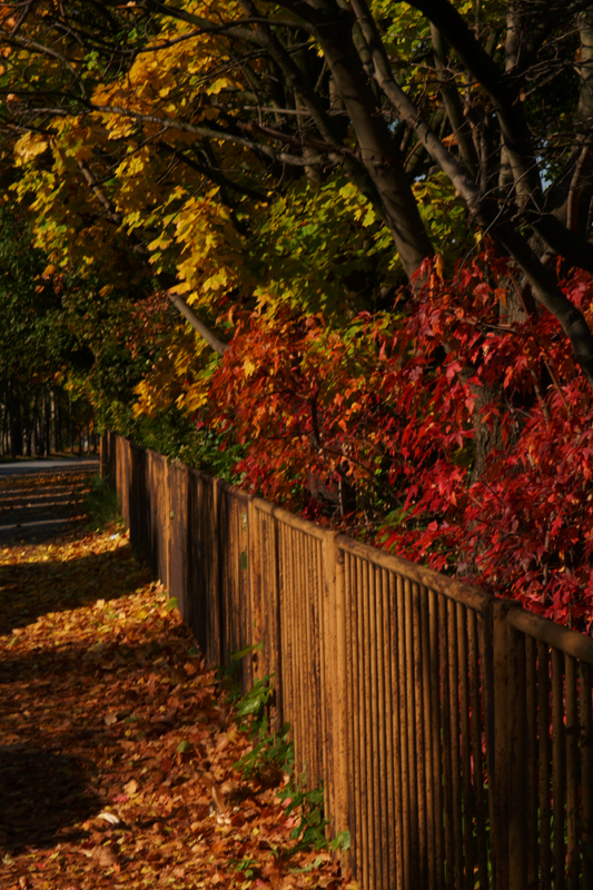 Dresdner Herbstwege