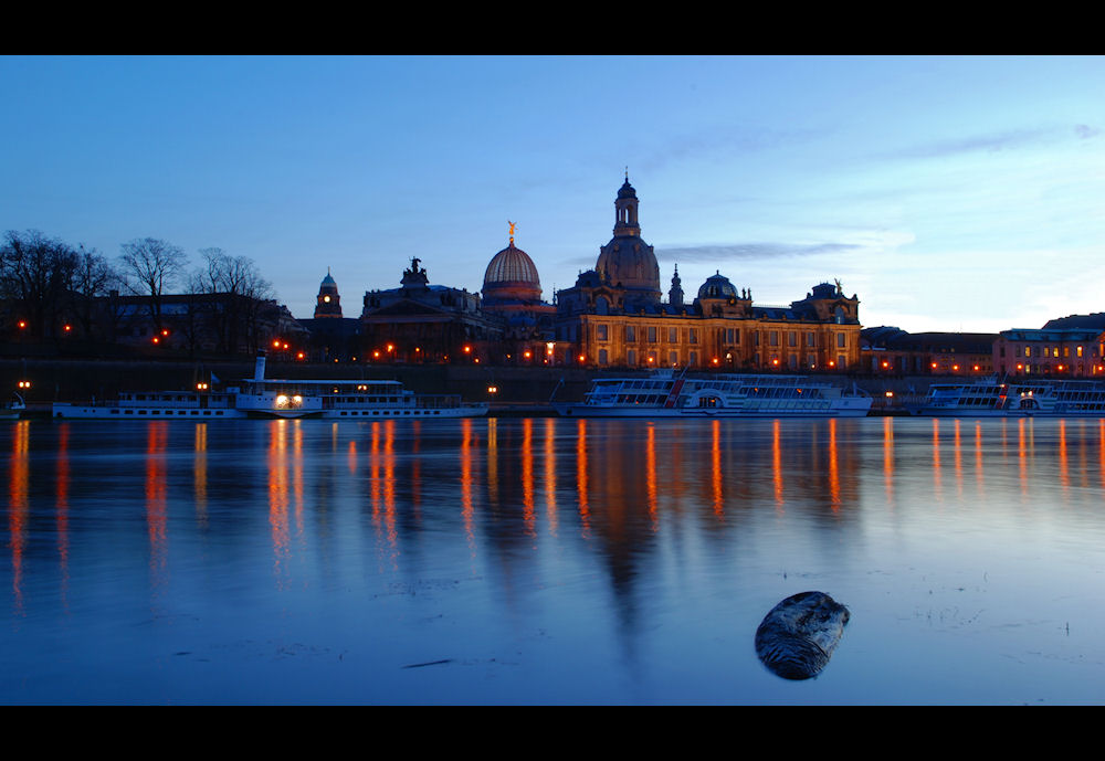 Dresdner Weiße Flotte