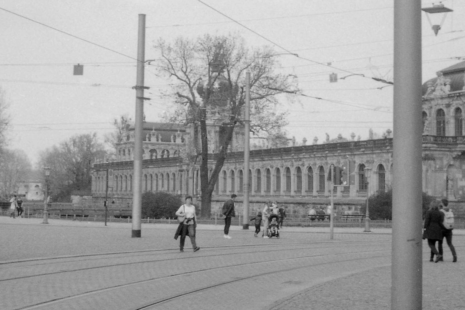 Dresdner Zwinger 2019