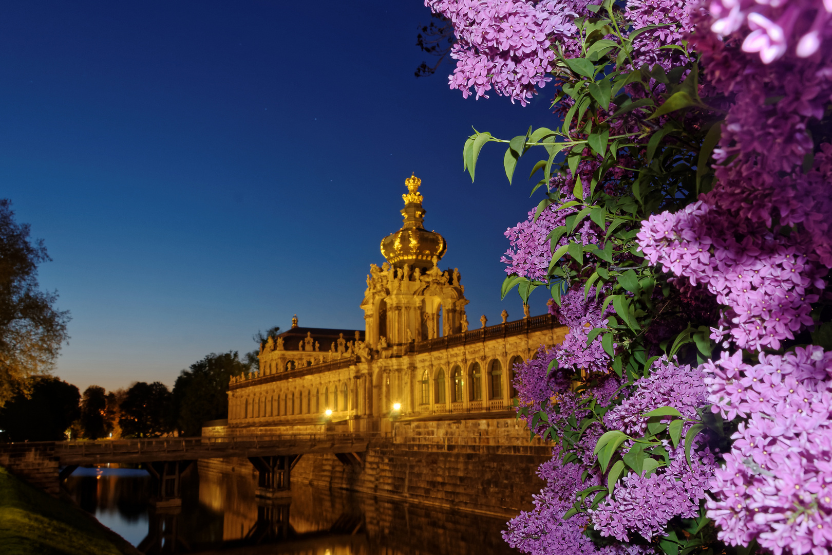 Dresdner Zwinger und blühender Flieder