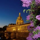 Dresdner Zwinger und blühender Flieder