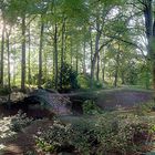 Dreslers Park in Kreuztal (5): Brücke im Wald