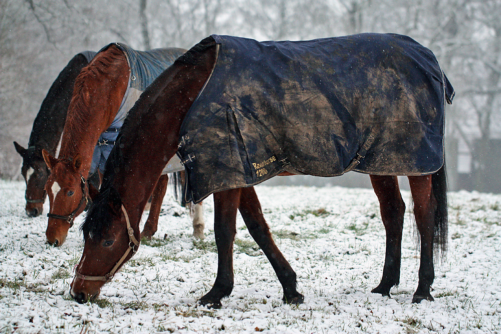 Dress warmly!