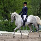 Dressage