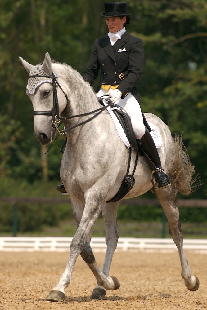 .: dressage