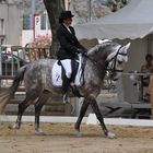 Dressage