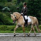 Dressage