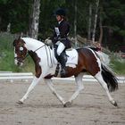 Dressage