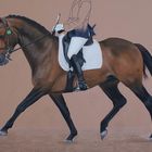 Dressage