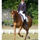 dressage