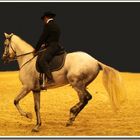 DRESSAGE