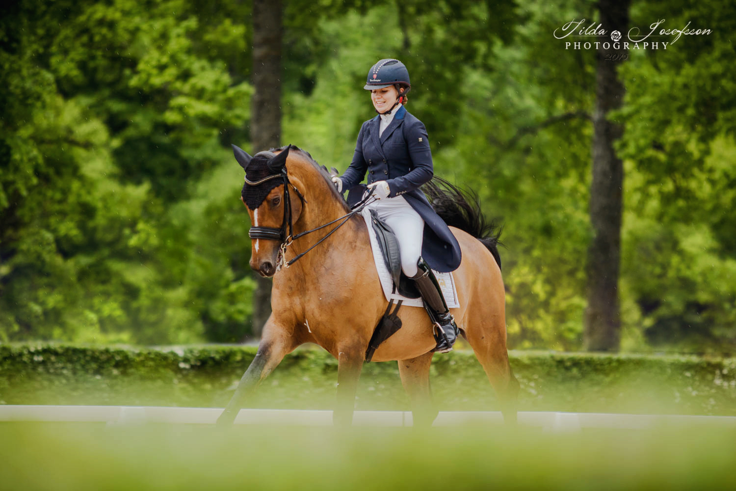 Dressage elite