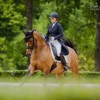 Dressage elite