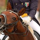 Dressage III