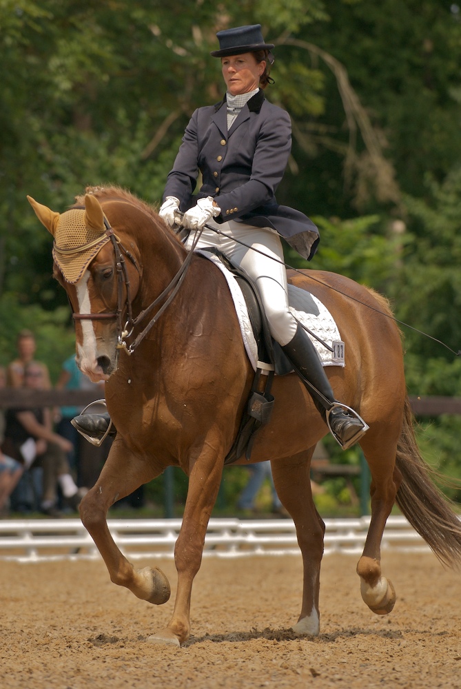 .: dressage klasse S