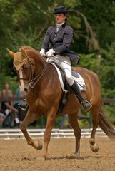 .: dressage klasse S