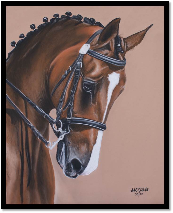 Dressage Portrait