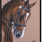 Dressage Portrait