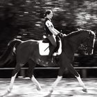 Dressage- Training